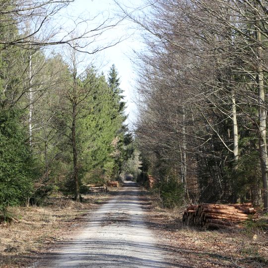LSG Hofoldinger und Höhenkirchner Forst