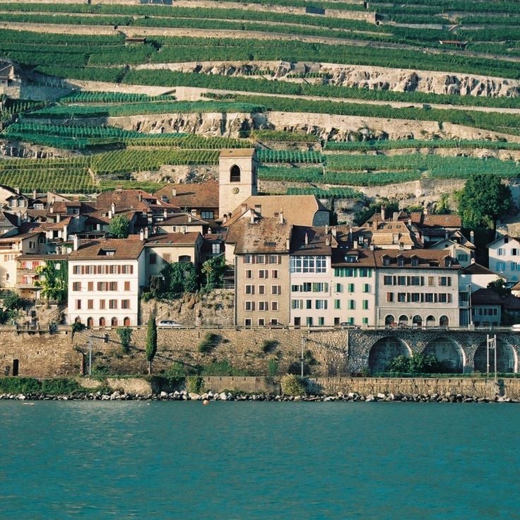 Saint-Saphorin