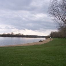 Auesee