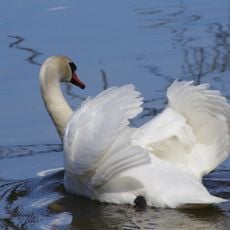 Mittlere Havelniederung