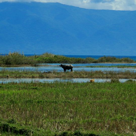 Lake Poso