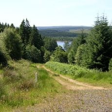 Kielder Forest