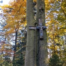 Geißriegel
