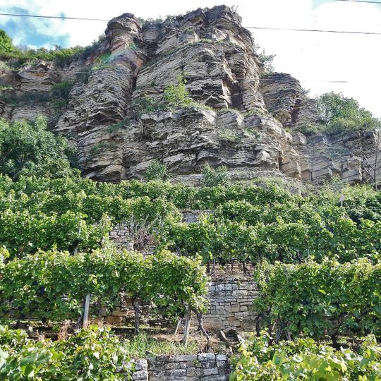 Krappenfelsen und Weinberg am Neckar