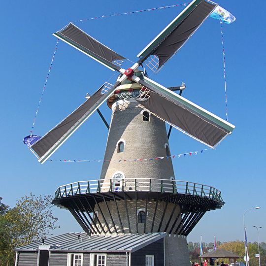 De Korenbloem