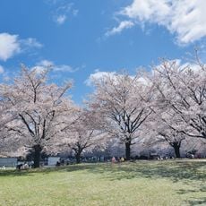 Niida Park