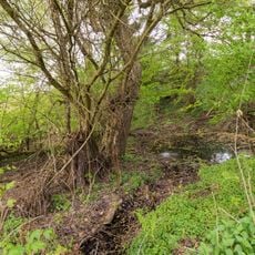Quelltopf (Weihenbrunnen)