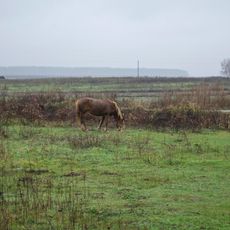 Shestovytsia Zakaznyk