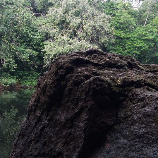 Rio Cajari Extractive Reserve