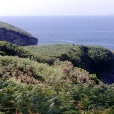 Castro de Punta Roza