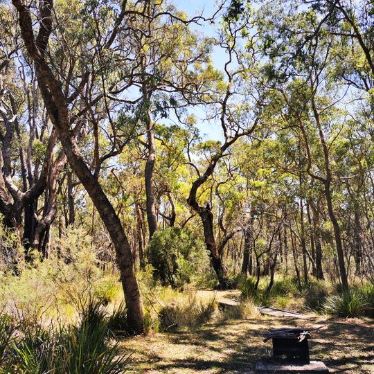 Kings Plains National Park