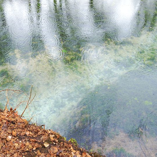 Рязниківські джерела