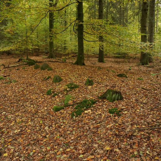 Großsteingrab Sachsenwald Alter Hau 1