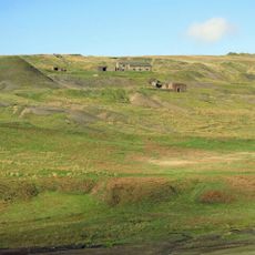 Coldberry lead mine and associated hushes