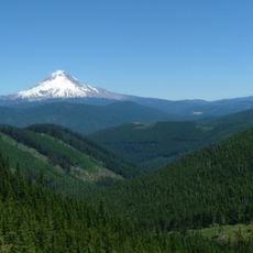 Mount Hood National Forest