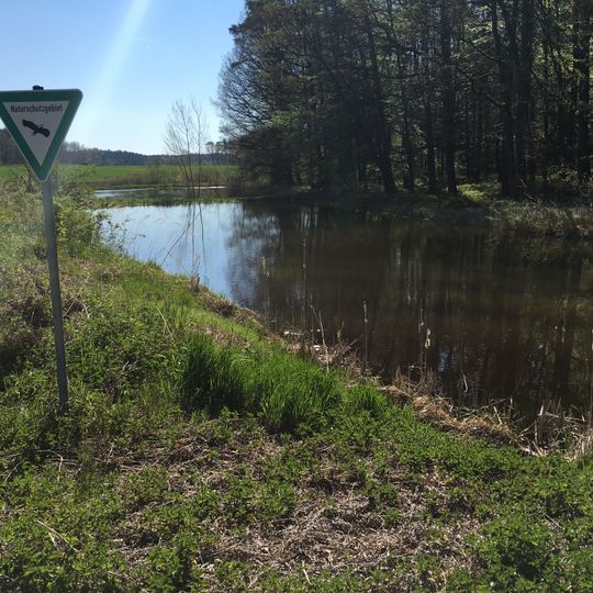 Weiherkette nördlich Bösenbechhofen