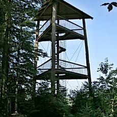 Erlebnisturm Waldpfad Binningen