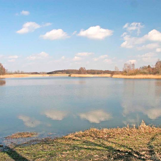 Bohdanečský rybník