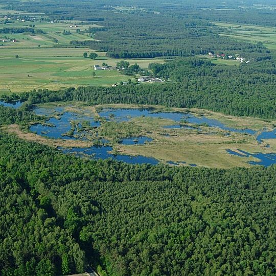 Rezerwat przyrody Bagno Pogorzel