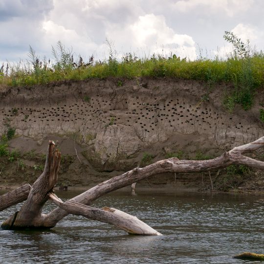 Serednioseymskyy preserve