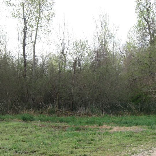 Dogtooth Bend Mounds and Village Site