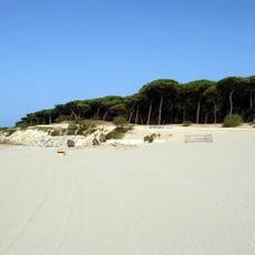 Dunas de San Antón