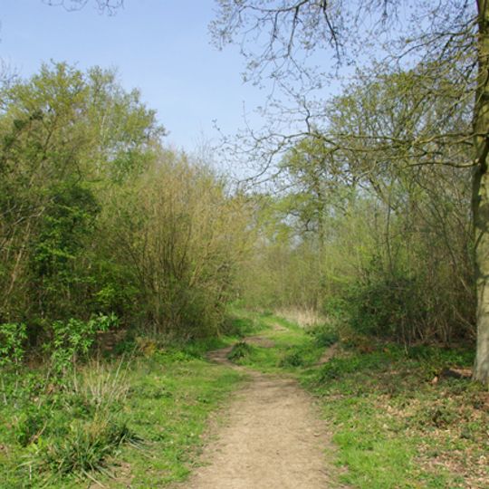 Garnetts Wood and Barnston Lays