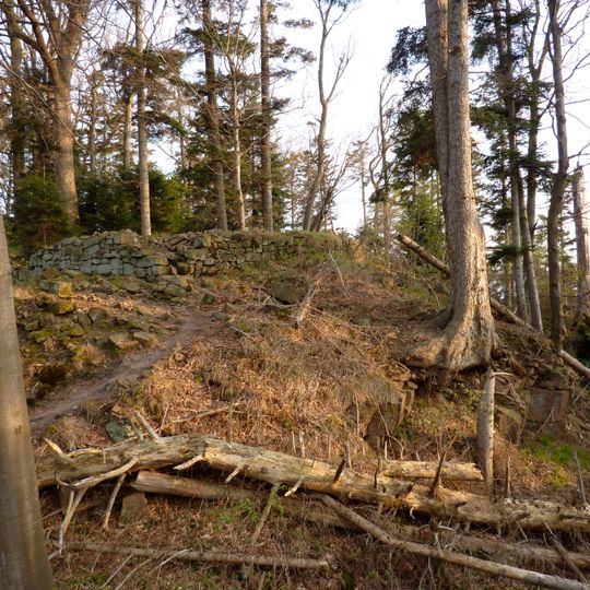 Château du Petit-Ringelstein