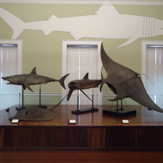 Museu de História Natural do Funchal