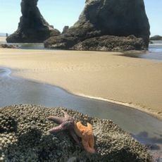 Bandon Beach