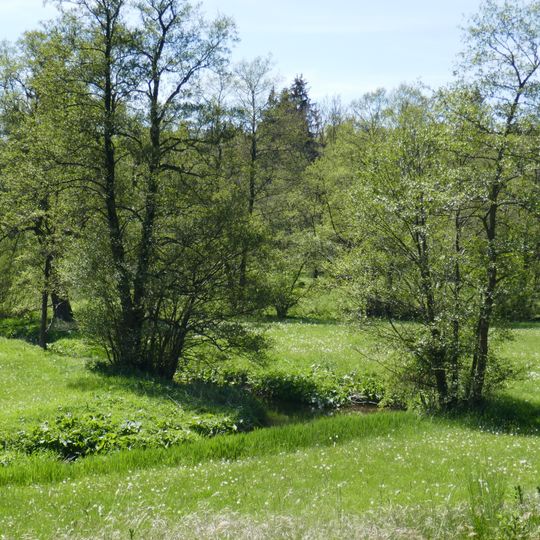 NSG Almetal <PB> >LP>