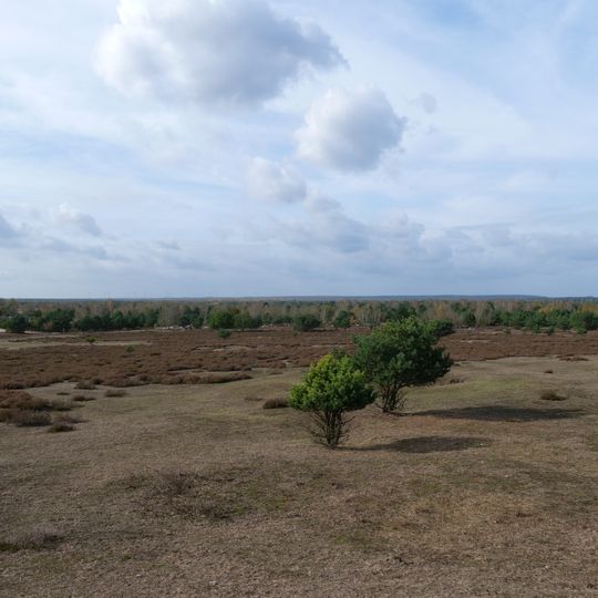 Forst Zinna/Keilberg