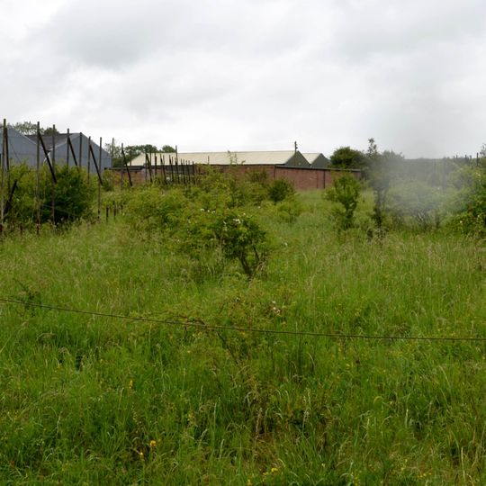 Interplanetary Scintillation Array