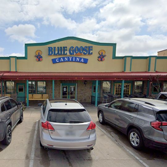 Blue Goose Cantina
