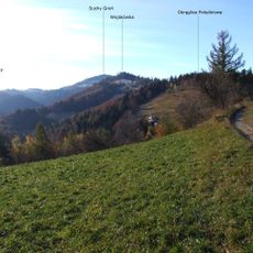 Suchy Groń (Beskid Sądecki)