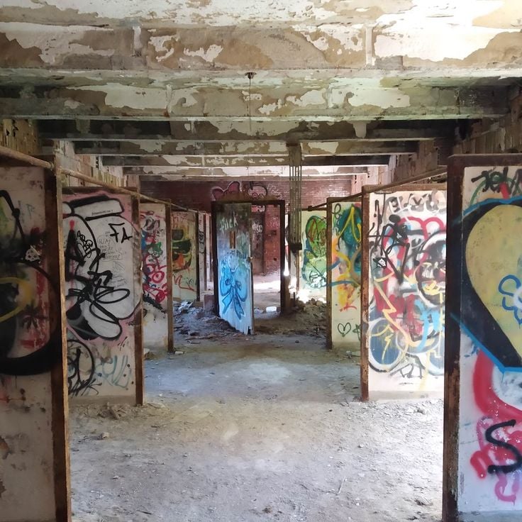 New York City Farm Colony