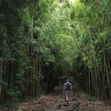 Pipiwai Trail