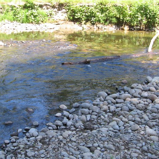 Bonnie Lure State Recreation Area
