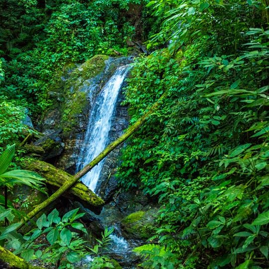 Parco nazionale di Montaña de Comayagua