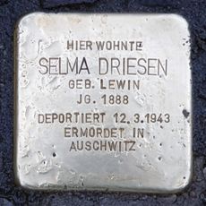 Selma Driesen