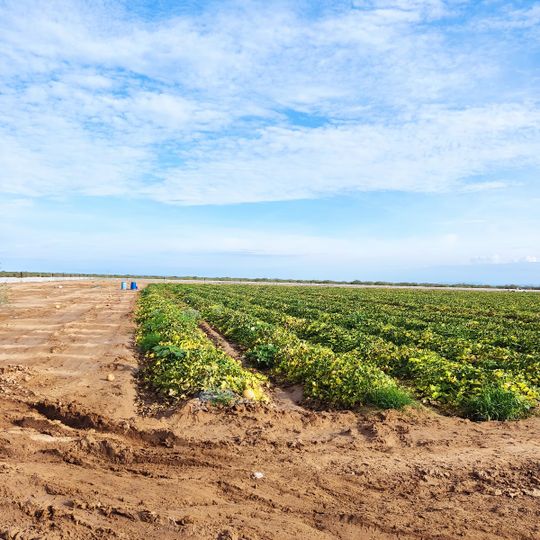 Mapimí Biosphere Reserve