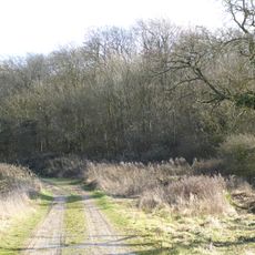 Geddington Chase SSSI