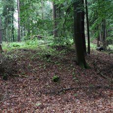 Burgstall Freudeneck