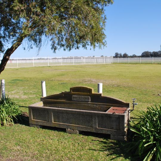 Horse trough