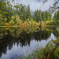 Devil's Staircase Wilderness