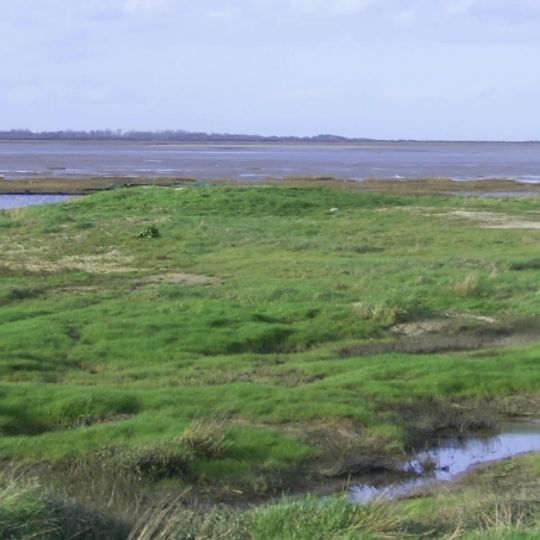 Domaine De Beauguillot