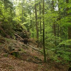 Friedrich-August-Grube