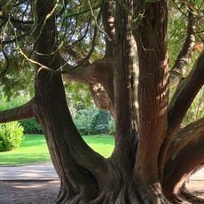Parc Adam