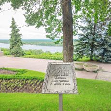 Дуби на Тарасовій горі