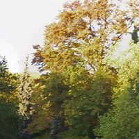Bad Homburg vor der Höhe